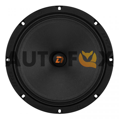 DL Audio Raven 200 (20см RMS-125Вт/4Ом)