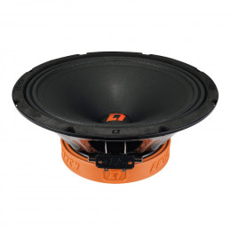 DL Audio Raven 250 (25см RMS-180Вт/4Ом)